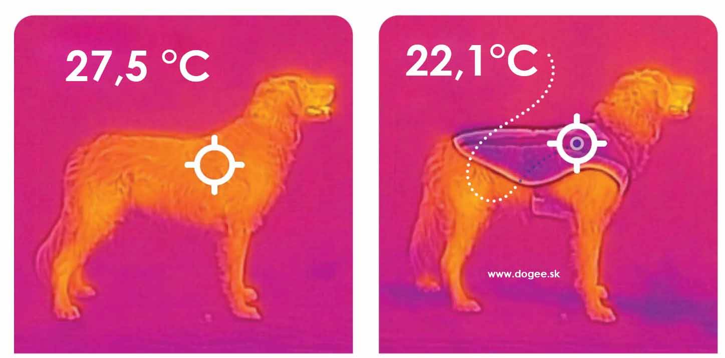 teplota_tela_psa_ruffwear_dogee_swamp_cooler